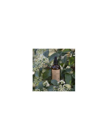 Oil.Zero GREENSOHO 95mL